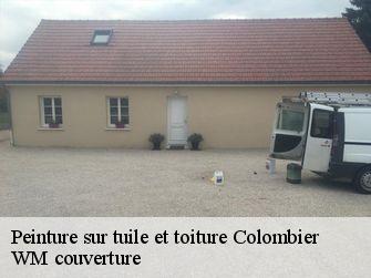 Peinture sur tuile et toiture  21360