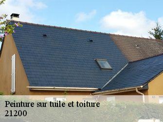 Peinture sur tuile et toiture