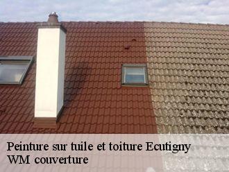 Peinture sur tuile et toiture  ecutigny-21360 WM couverture