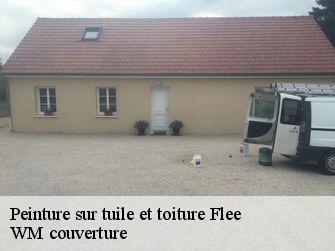 Peinture sur tuile et toiture  21140