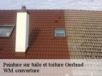 Peinture sur tuile et toiture  gerland-21700 WM couverture