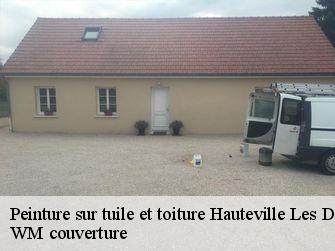 Peinture sur tuile et toiture  21121