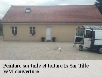 Peinture sur tuile et toiture  21120