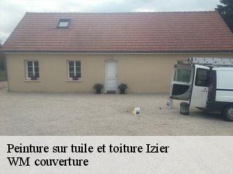 Peinture sur tuile et toiture  21110