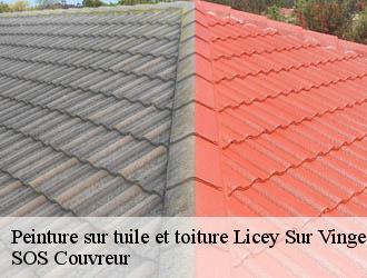Peinture sur tuile et toiture licey-sur-vingeanne-21610 SOS Couvreur