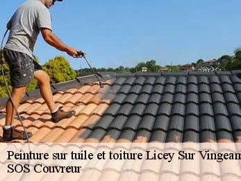 Peinture sur tuile et toiture 21610