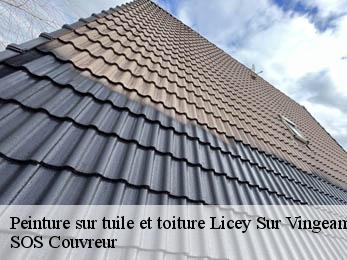 Peinture sur tuile et toiture
