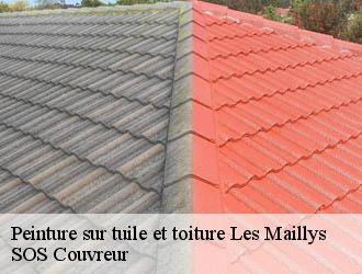 Peinture sur tuile et toiture les-maillys-21130 SOS Couvreur