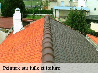 Peinture sur tuile et toiture