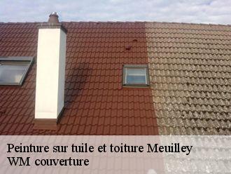 Peinture sur tuile et toiture  meuilley-21700 WM couverture