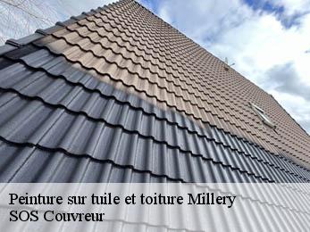 Peinture sur tuile et toiture