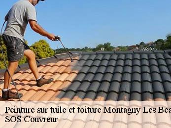 Peinture sur tuile et toiture 21200