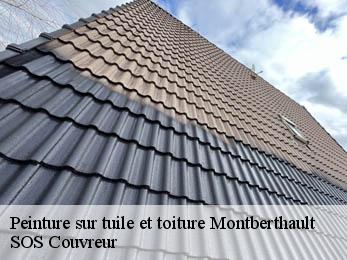Peinture sur tuile et toiture