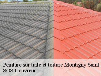 Peinture sur tuile et toiture montigny-saint-barthelemy-21390 SOS Couvreur