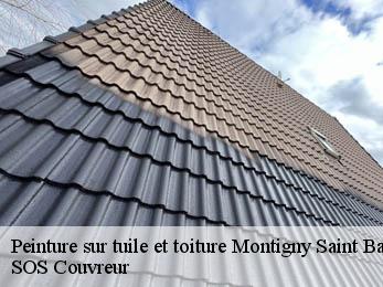 Peinture sur tuile et toiture