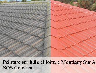 Peinture sur tuile et toiture  montigny-sur-armancon-21140 SOS Couvreur