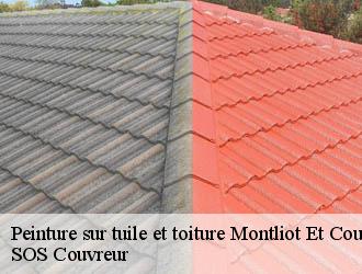Peinture sur tuile et toiture  montliot-et-courcelles-21400 SOS Couvreur