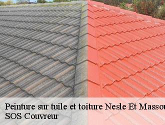 Peinture sur tuile et toiture nesle-et-massoult-21330 SOS Couvreur
