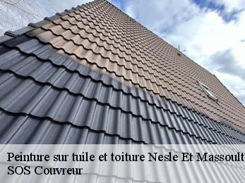 Peinture sur tuile et toiture