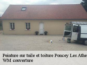 Peinture sur tuile et toiture  21130