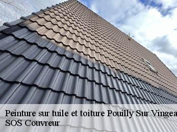 Peinture sur tuile et toiture