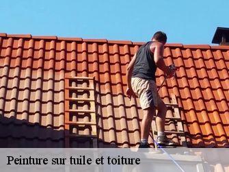 Peinture sur tuile et toiture