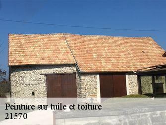 Peinture sur tuile et toiture  21570