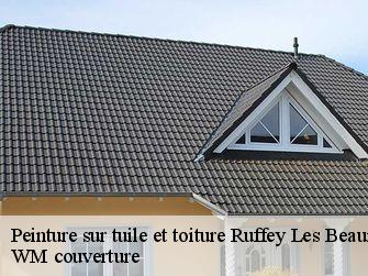 Peinture sur tuile et toiture