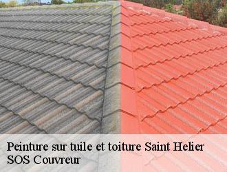 Peinture sur tuile et toiture saint-helier-21690 SOS Couvreur