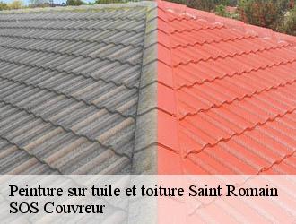 Peinture sur tuile et toiture saint-romain-21190 SOS Couvreur