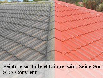 Peinture sur tuile et toiture  saint-seine-sur-vingeanne-21610 SOS Couvreur
