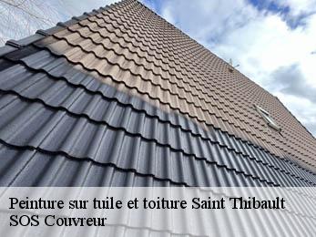 Peinture sur tuile et toiture