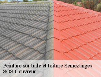 Peinture sur tuile et toiture  semezanges-21220 SOS Couvreur