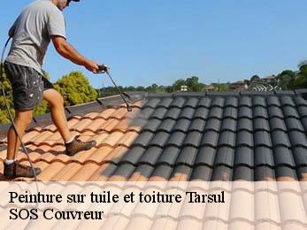 Peinture sur tuile et toiture 21120