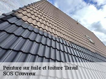 Peinture sur tuile et toiture