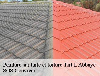 Peinture sur tuile et toiture tart-l-abbaye-21110 SOS Couvreur