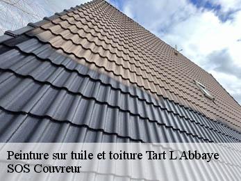 Peinture sur tuile et toiture