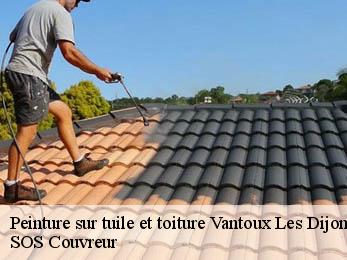 Peinture sur tuile et toiture  21380