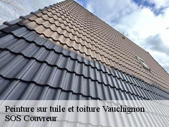 Peinture sur tuile et toiture