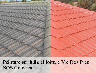 Peinture sur tuile et toiture vic-des-pres-21360 SOS Couvreur