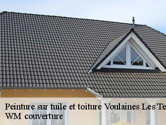 Peinture sur tuile et toiture