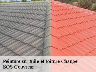 Peinture sur tuile et toiture change-21340 SOS Couvreur