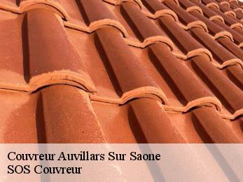 Couvreur  21250