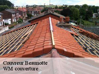 Couvreur  beaunotte-21510 WM couverture
