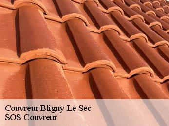 Couvreur 21440