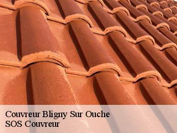 Couvreur 21360