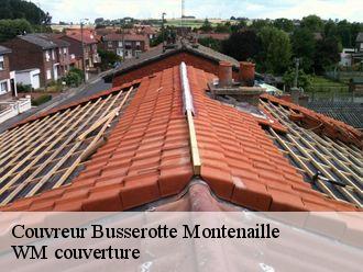 Couvreur  busserotte-montenaille-21580 WM couverture