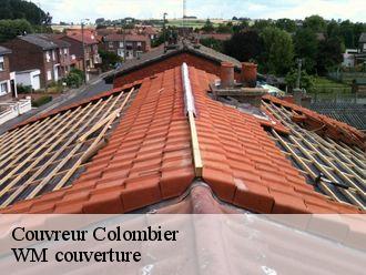 Couvreur  colombier-21360 WM couverture