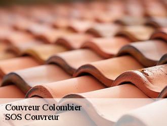 Couvreur colombier-21360 SOS Couvreur