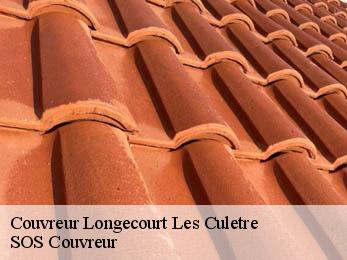 Couvreur 21230